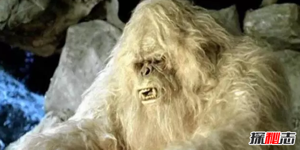 十大未解怪獸之謎,親眼被見(jiàn)到卻無(wú)法得到證實(shí)