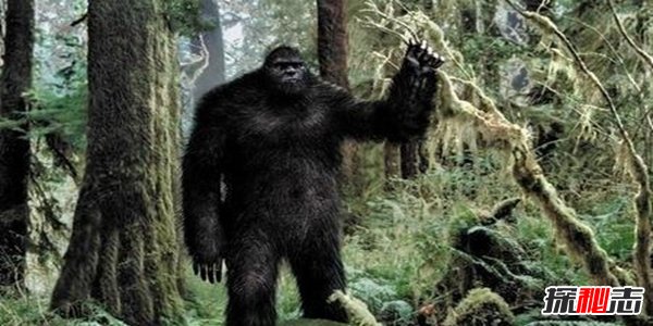 十大未解怪獸之謎,親眼被見(jiàn)到卻無(wú)法得到證實(shí)