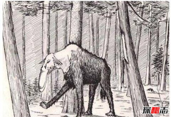 十大未解怪獸之謎,親眼被見(jiàn)到卻無(wú)法得到證實(shí)