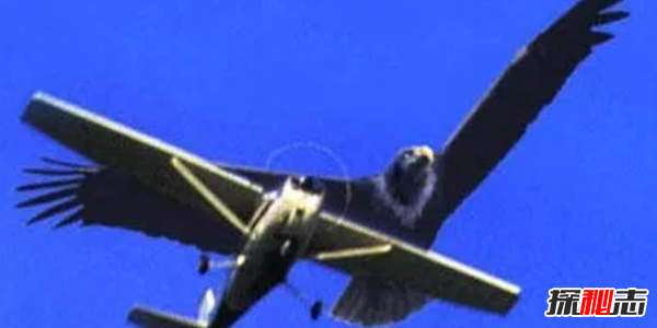 十大未解怪獸之謎,親眼被見(jiàn)到卻無(wú)法得到證實(shí)