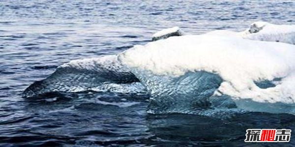 南極哥斯拉的真面目, 南極哥斯拉真的存在嗎?(真相揭秘)