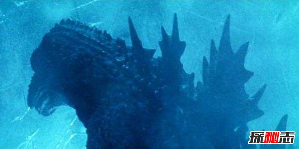 南極哥斯拉的真面目, 南極哥斯拉真的存在嗎?(真相揭秘)