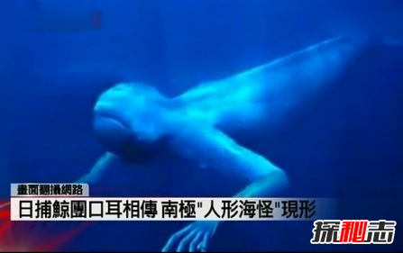 日捕鯨船,南極“人形海怪”之謎(意味著(zhù)什么)
