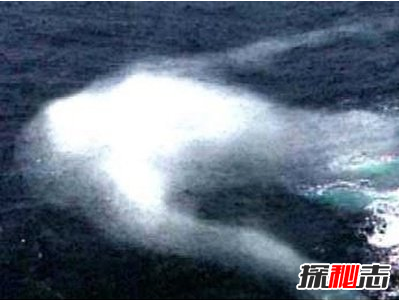 日捕鯨船,南極“人形海怪”之謎(意味著(zhù)什么)