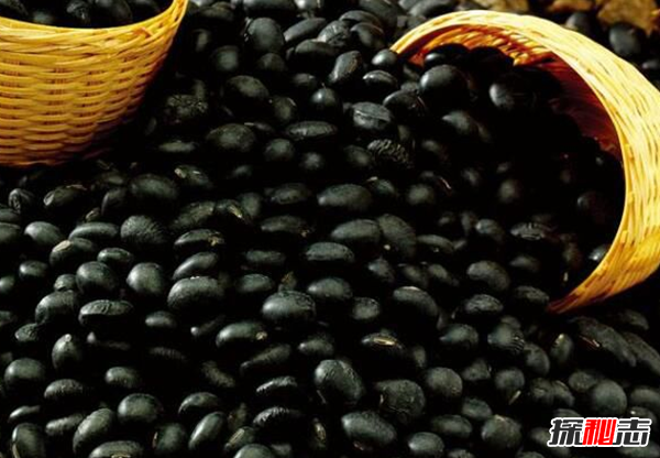 男人吃什么補身體?男人養腎最佳10食物