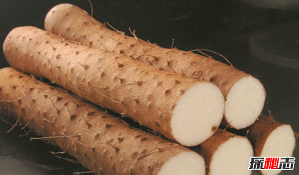 男人吃什么補身體?男人養腎最佳10食物