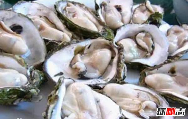 男人吃什么補身體?男人養腎最佳10食物