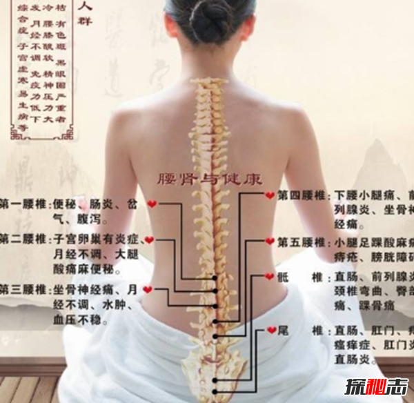 男人吃什么補身體?男人養腎最佳10食物