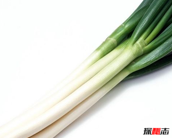 男人吃什么補身體?男人養腎最佳10食物