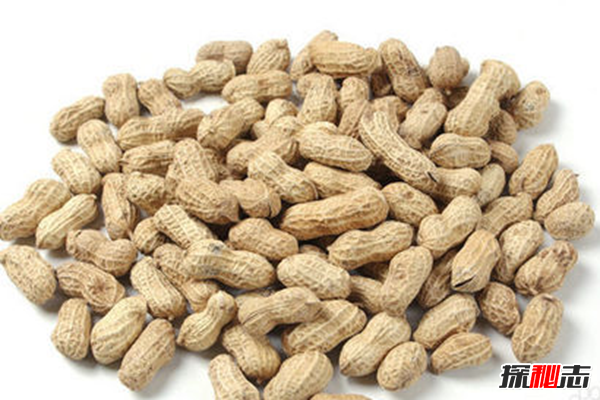 男人吃什么補身體?男人養腎最佳10食物