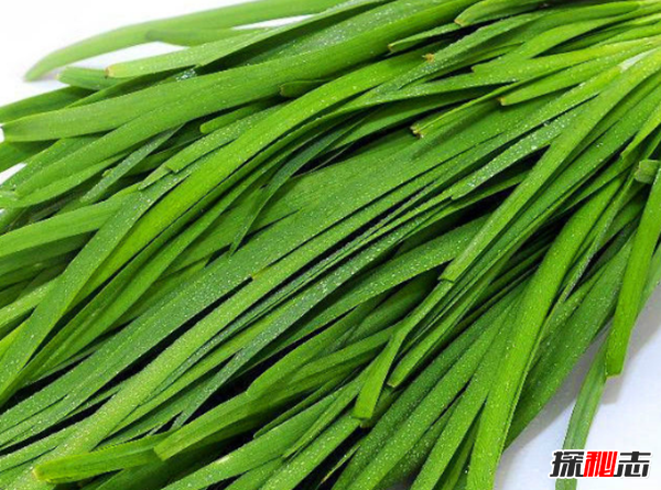 男人吃什么補身體?男人養腎最佳10食物