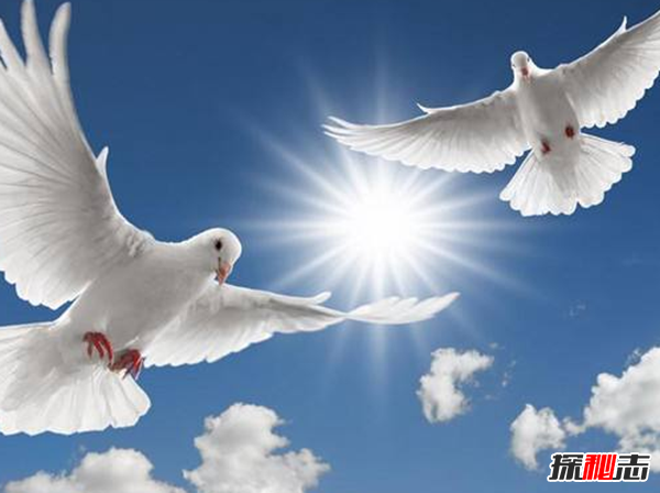 哪個(gè)國家最和平?盤(pán)點(diǎn)世界十大和平國家(附和平指數)