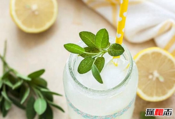 哪個(gè)國家吃素的人最多?素食主義者最多的十大國家