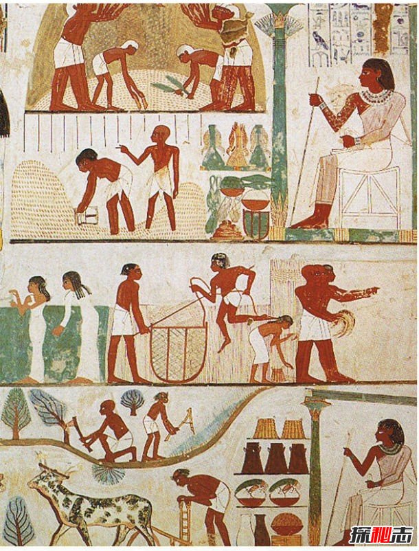 木乃伊會(huì )復活嗎?關(guān)于木乃伊的十個(gè)真實(shí)秘密