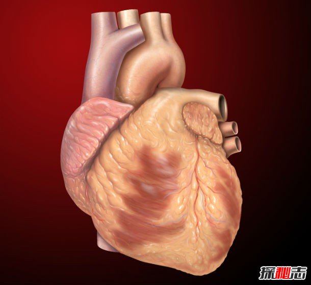 木乃伊會(huì )復活嗎?關(guān)于木乃伊的十個(gè)真實(shí)秘密