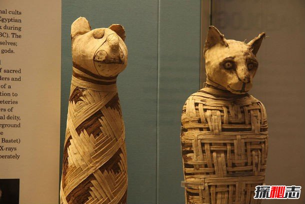 木乃伊會(huì )復活嗎?關(guān)于木乃伊的十個(gè)真實(shí)秘密