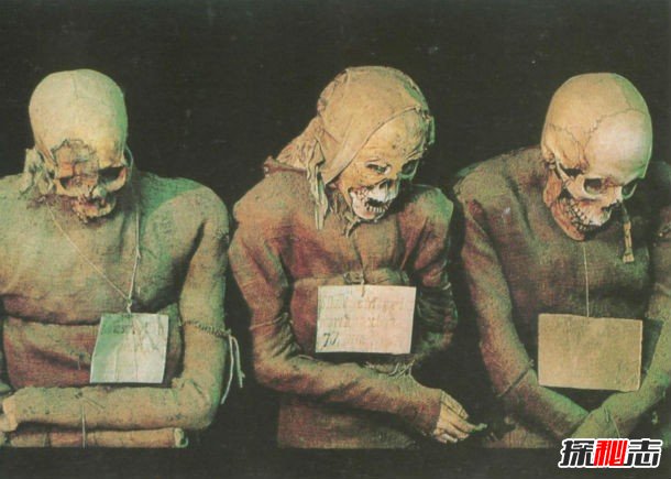 木乃伊會(huì )復活嗎?關(guān)于木乃伊的十個(gè)真實(shí)秘密