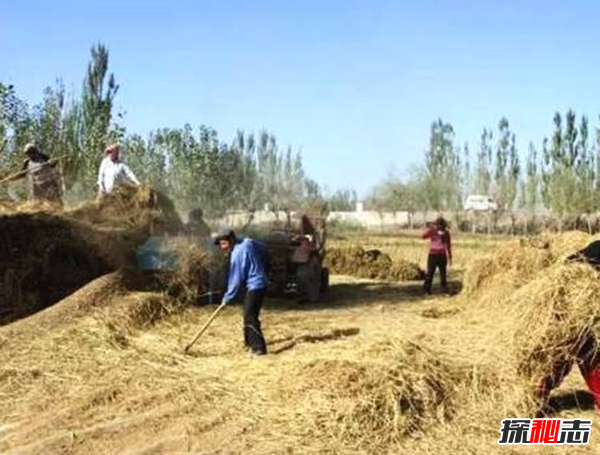 民間靈異故事,真實(shí)存在的詭異的故事(超嚇人驚悚)