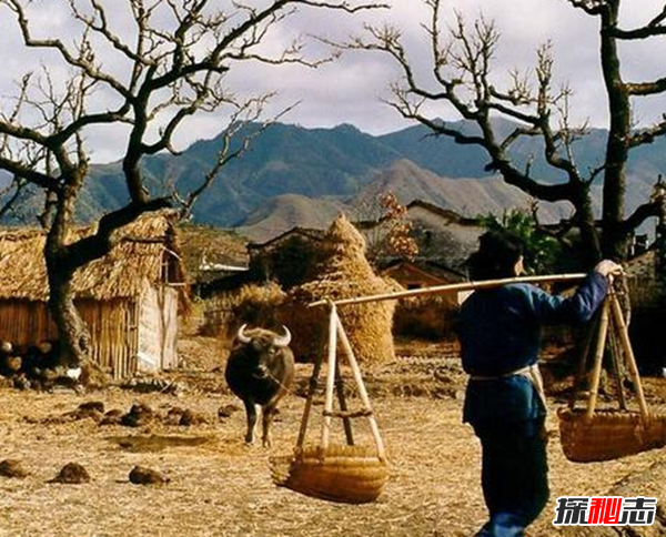 民間靈異故事,真實(shí)存在的詭異的故事(超嚇人驚悚)