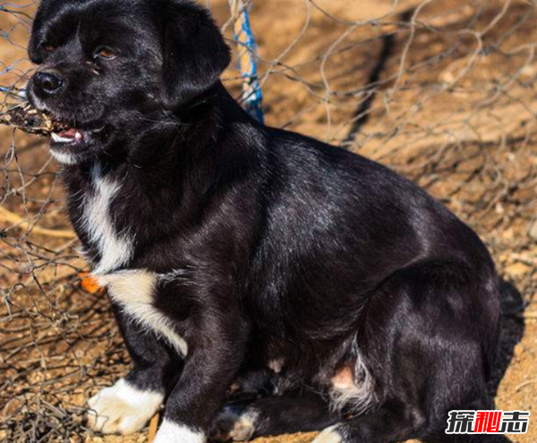 民間靈異故事,真實(shí)存在的詭異的故事(超嚇人驚悚)