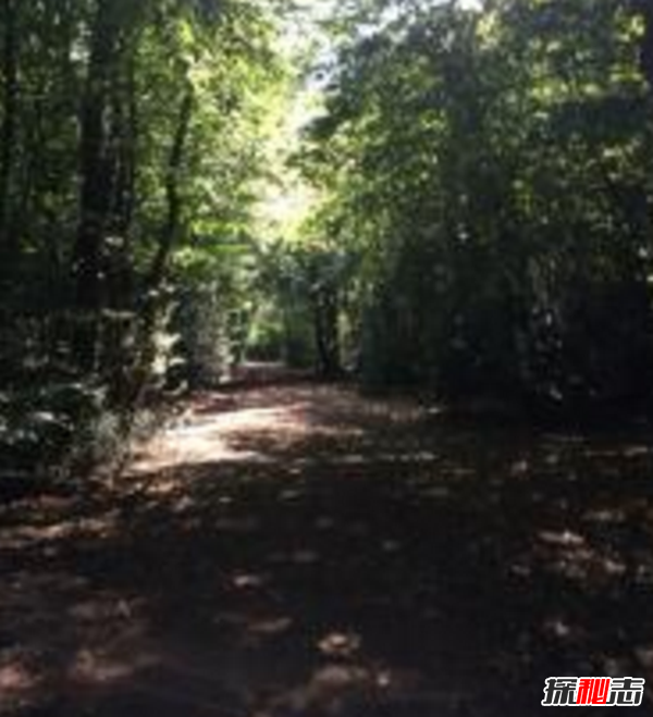 民間靈異故事,真實(shí)存在的詭異的故事(超嚇人驚悚)