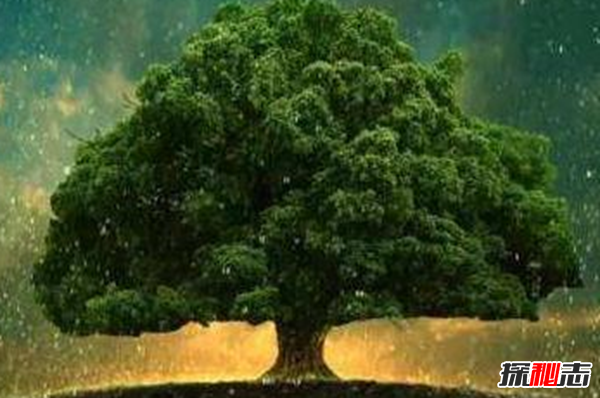 民間靈異故事,真實(shí)存在的詭異的故事(超嚇人驚悚)