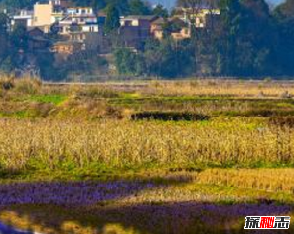 民間靈異故事,真實(shí)存在的詭異的故事(超嚇人驚悚)