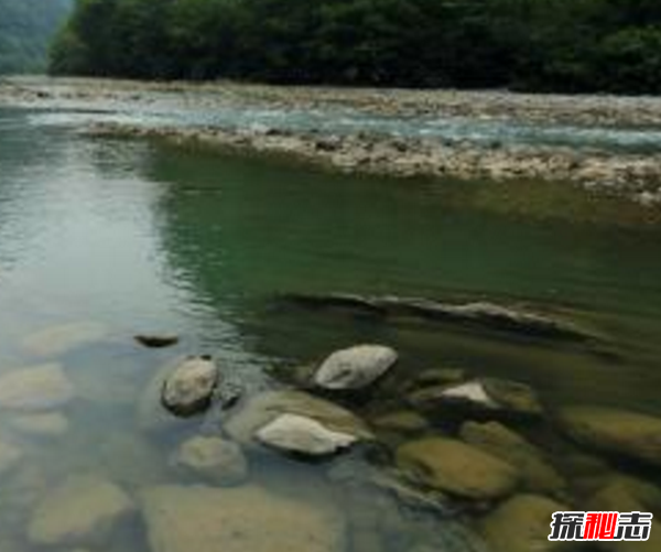 民間靈異故事,真實(shí)存在的詭異的故事(超嚇人驚悚)