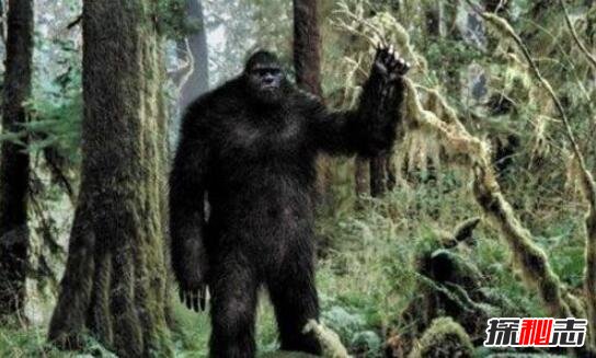 揭秘緬甸野人山死了多少人，50000人喪生(女兵遭性侵致死)