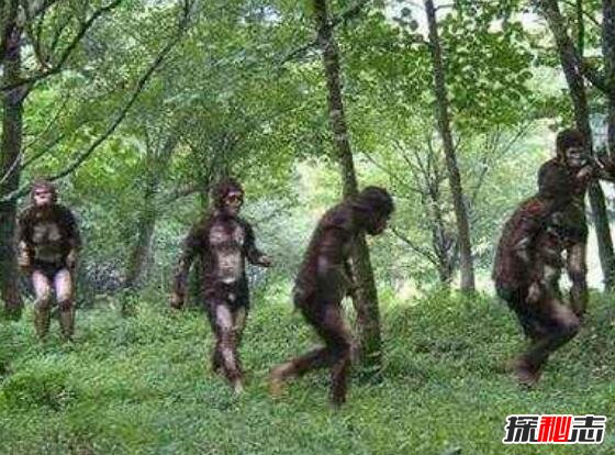 揭秘緬甸野人山死了多少人，50000人喪生(女兵遭性侵致死)