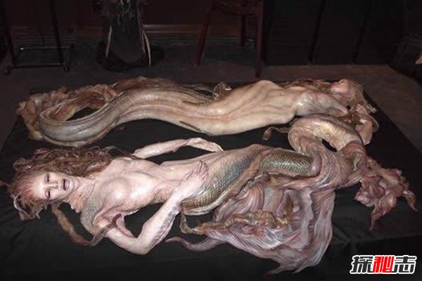 美人魚(yú)吃小孩