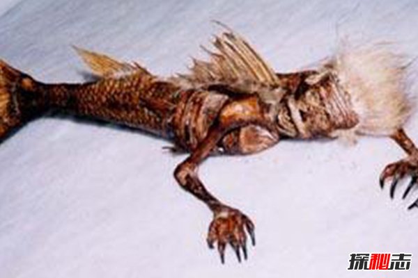 美人魚(yú)吃小孩