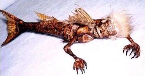 美人魚(yú)真的存在嗎？真相告訴你世界上有沒(méi)有美人魚(yú)