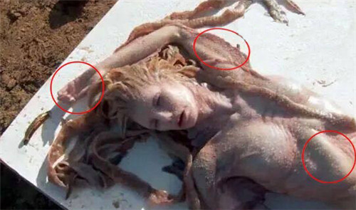 美人魚(yú)真的存在嗎？真相告訴你世界上有沒(méi)有美人魚(yú)