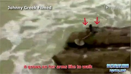 美人魚(yú)真的存在嗎？真相告訴你世界上有沒(méi)有美人魚(yú)