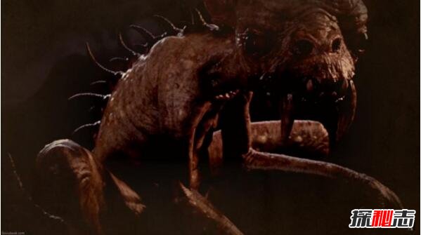 美洲卓柏卡布拉,恐怖的人形吸血怪獸(圖片)