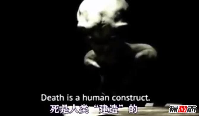 美國抓獲未來(lái)人,自稱(chēng)來(lái)自平行世界的灰人(審問(wèn)視頻曝光)