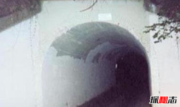 美國兔人殺人是真的嗎?美國恐怖兔人圖片曝光