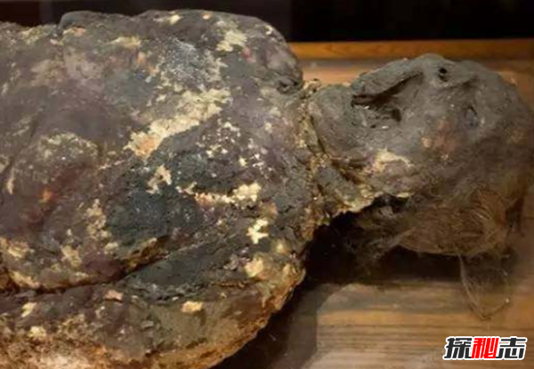 美國穆特博物館肥皂女尸,重口味分分鐘想吐(腐爛女尸成肥皂)