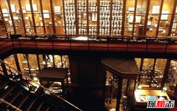 美國穆特博物館肥皂女尸,重口味分分鐘想吐(腐爛女尸成肥皂)