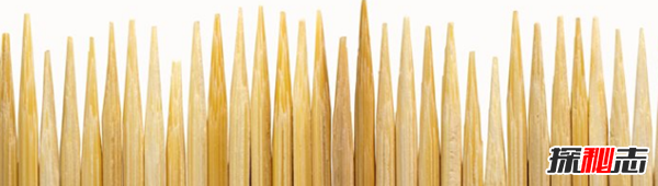 美國緬因州窮嗎?美國緬因十大風(fēng)土人情