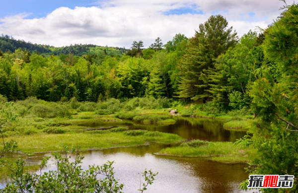 美國緬因州窮嗎?美國緬因十大風(fēng)土人情