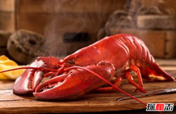 美國緬因州窮嗎?美國緬因十大風(fēng)土人情