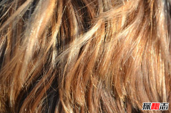 每個(gè)人都有那么點(diǎn)怪癖,盤(pán)點(diǎn)十大真實(shí)恐怖怪癖事件