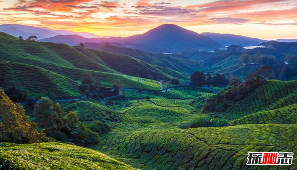 馬來(lái)西亞有什么好玩的?馬來(lái)西亞必去的10個(gè)地方