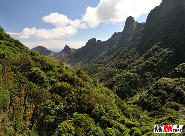 魯濱遜島寶藏之謎,被埋于地下15米處值約130億美元(史上最大寶藏)