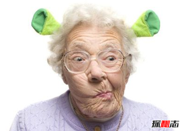 蘆薈有什么妙用?蘆薈的十大功效與作用