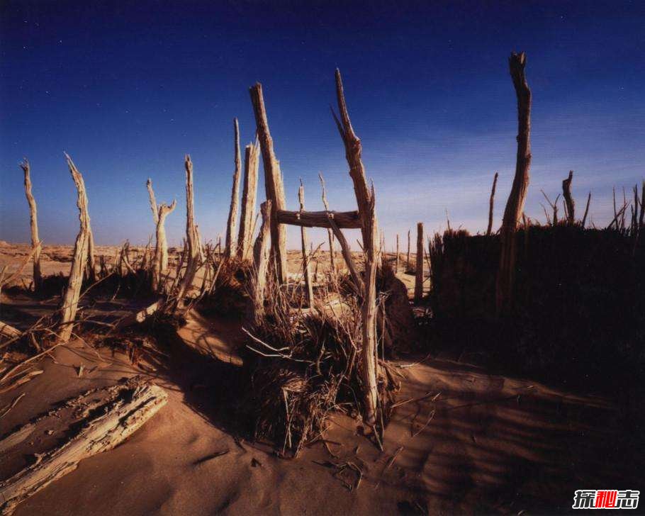 樓蘭遺址為什么不能去：遭永恒毀滅詛咒,一夜消失