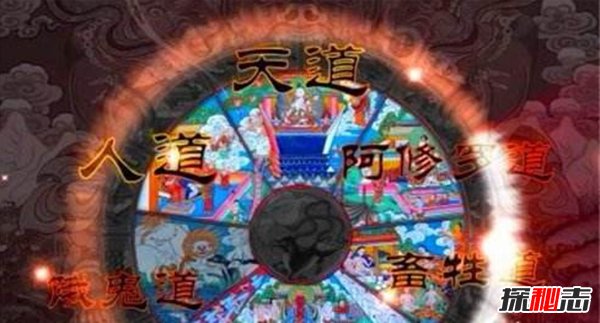 六道輪回真實(shí)案例,夜載五人竟是去投豬胎的