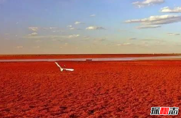 遼寧八大奇觀(guān),大連金石灘石頭比金子還貴重